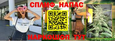 сатива Бузулук