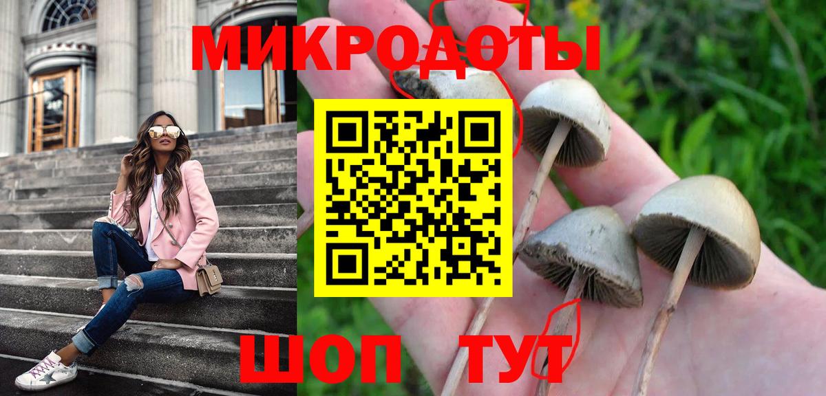 Псилоцибиновые грибы MAGIC MUSHROOMS Сальск